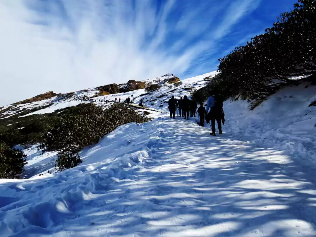 Chopta Snow Trek December 2025